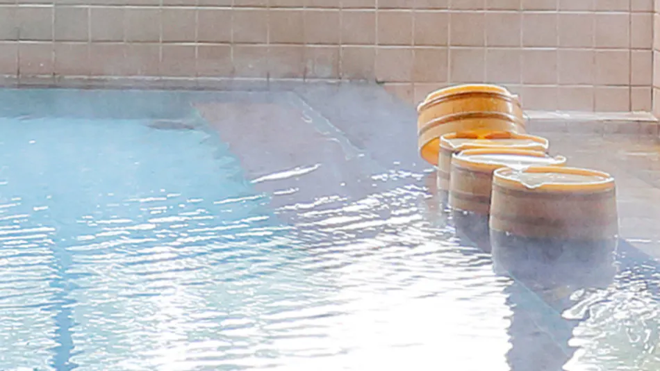 Futsukaichi Onsen Daikanso