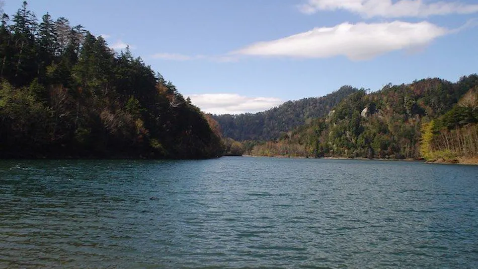 Suganuma Camp Village