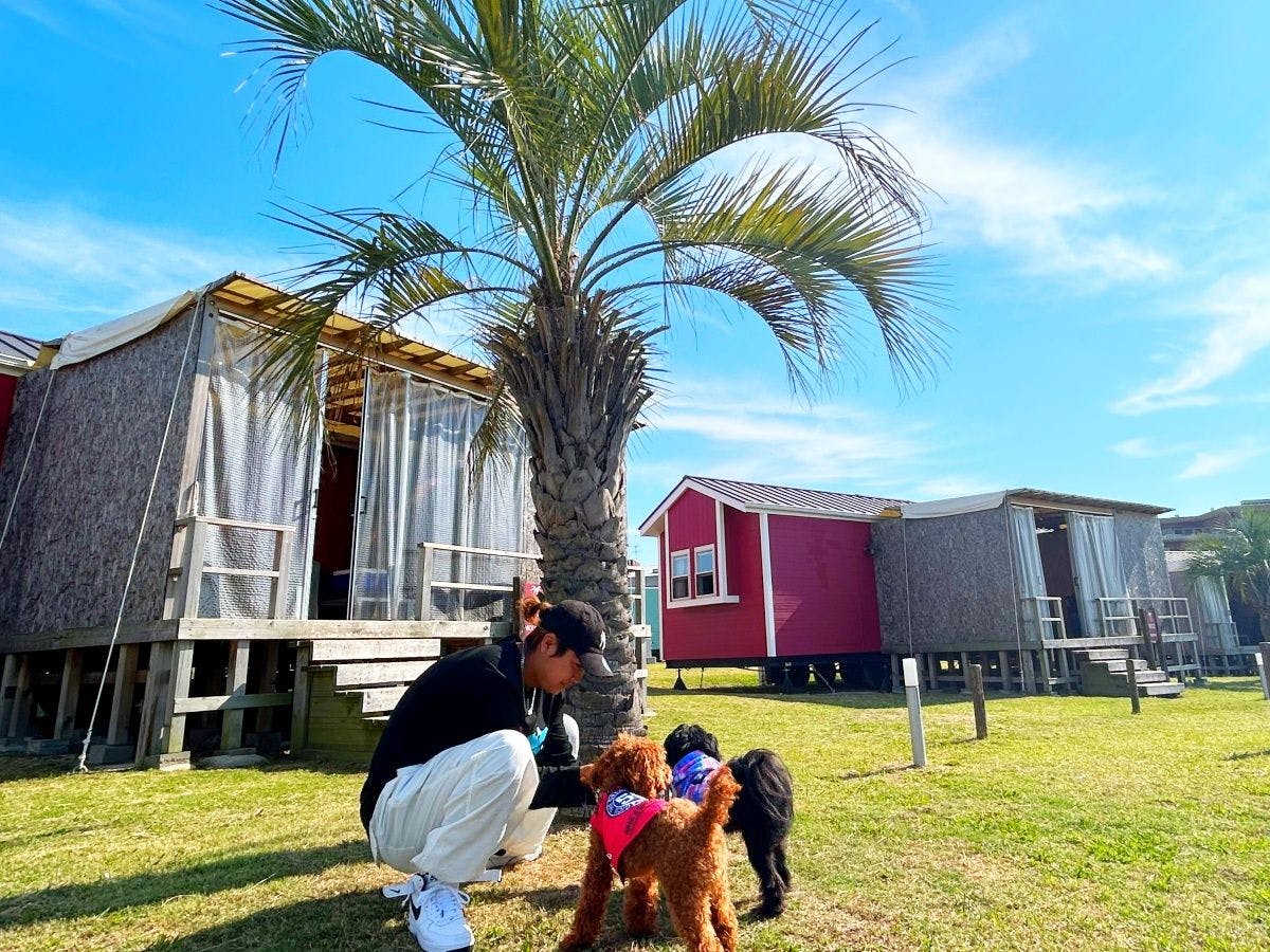 GRAN CAMPING Palm Garden Maishima