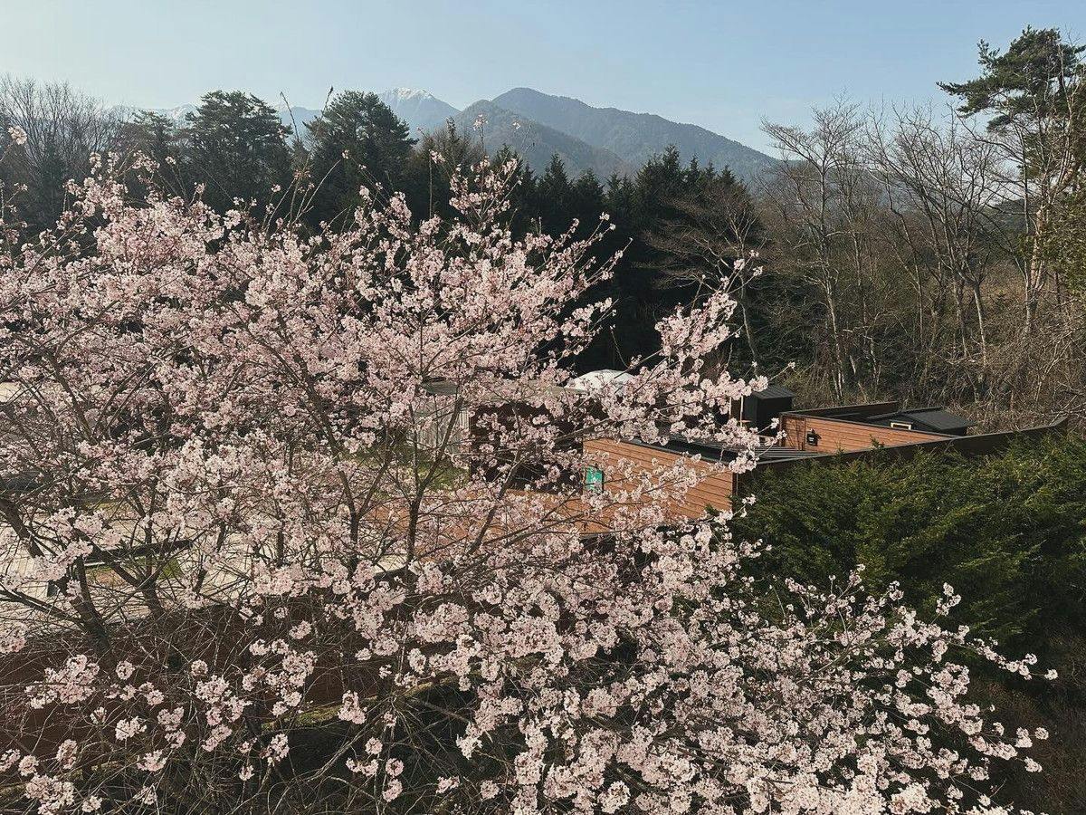 Morino Hotel