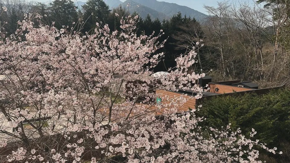 Morino Hotel