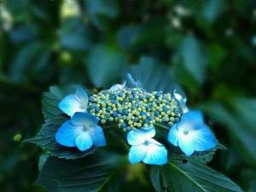 國弘やしき 宿泊予約なら Yahoo トラベル