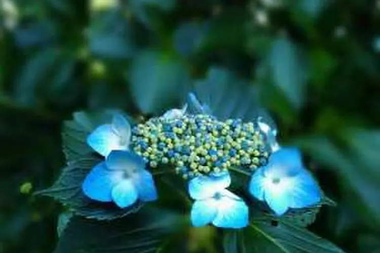 國弘やしき 宿泊予約なら Yahoo トラベル 國弘やしき 宿泊予約なら Yahoo トラベル