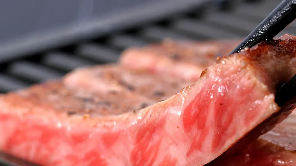 Hanakoji Saigetsu