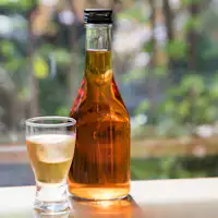 Umeshu buatan sendiri (penjualan botol)