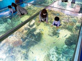 大江戸温泉物語　加賀片山津温泉　ながやま