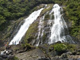 コテージ　屋久杉の家