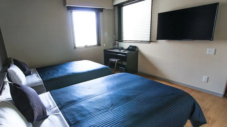 Natural Hot Spring Hotel Livemax PREMIUM Himeji Station South