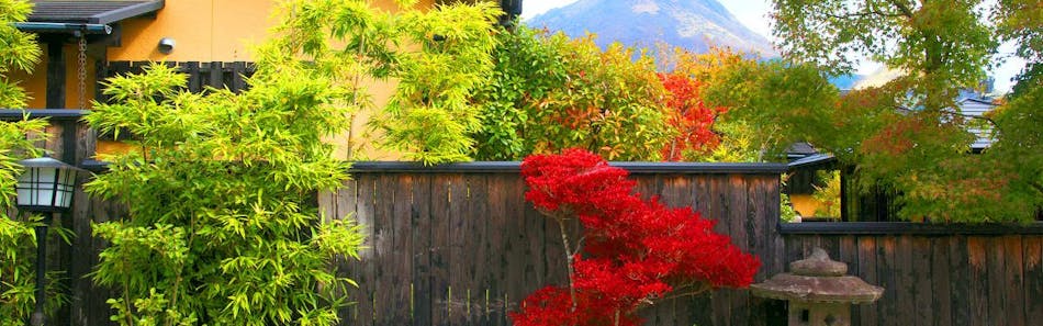 クチコミ 評判 由布院温泉 お宿 五輪花 Yahoo トラベル クチコミ 評判 由布院温泉 お宿 五輪花 Yahoo トラベル