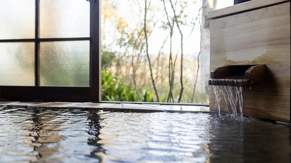 Hitoyoshi Onsen Shirasagisou