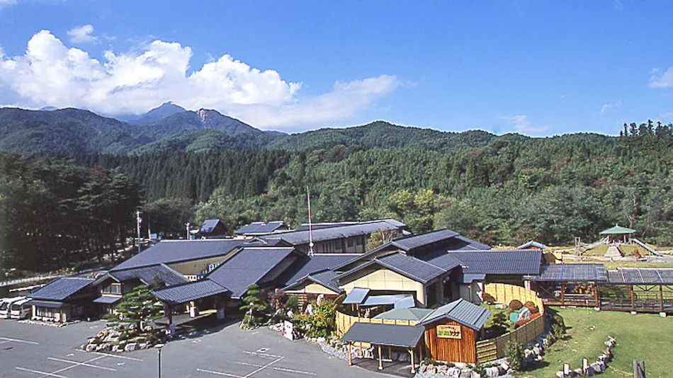 Shinshu Matsukawa Onsen Seiryuen