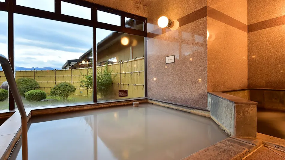 Shinshu Matsukawa Onsen Seiryuen