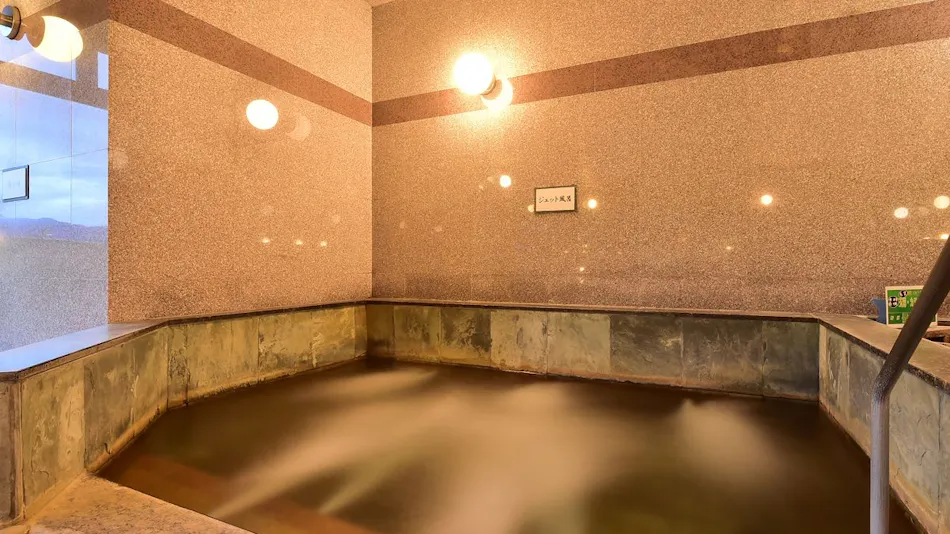Shinshu Matsukawa Onsen Seiryuen