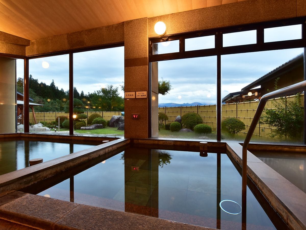 Shinshu Matsukawa Onsen Seiryuen
