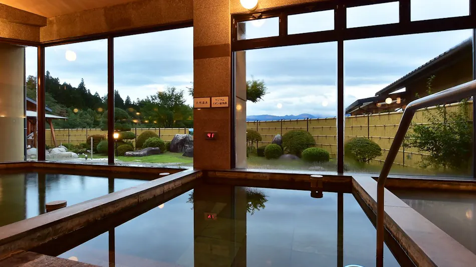Shinshu Matsukawa Onsen Seiryuen