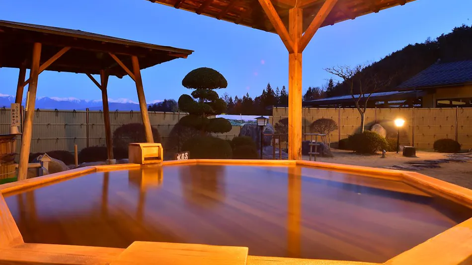 Shinshu Matsukawa Onsen Seiryuen