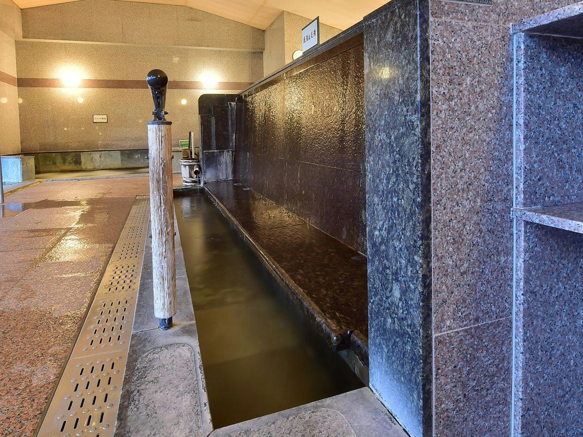 Shinshu Matsukawa Onsen Seiryuen