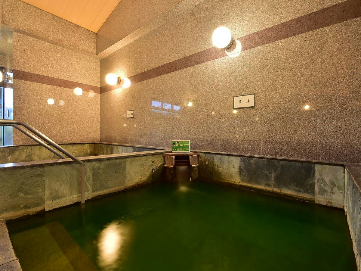 Shinshu Matsukawa Onsen Seiryuen