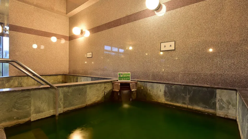 Shinshu Matsukawa Onsen Seiryuen
