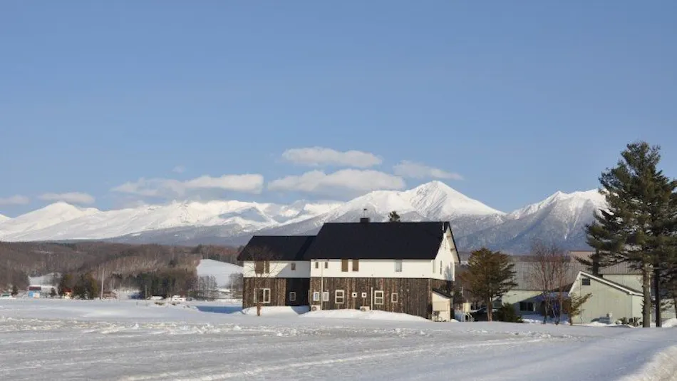 Gufo Forest Kamifurano
