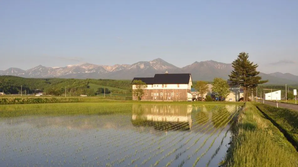 Gufo Forest Kamifurano