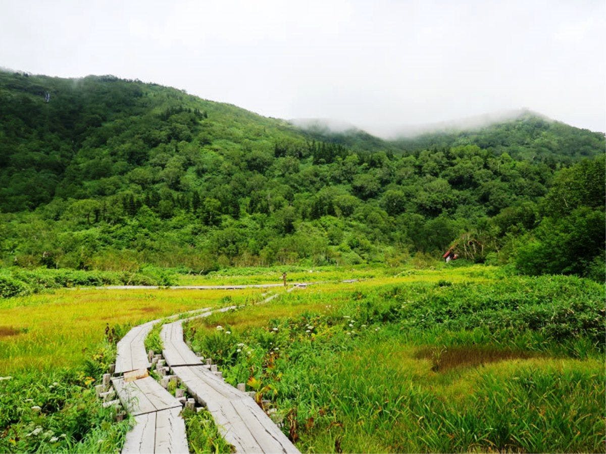 【สวนธรรมชาติสึกะอิเคะ】