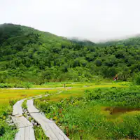 【สวนธรรมชาติสึกะอิเคะ】