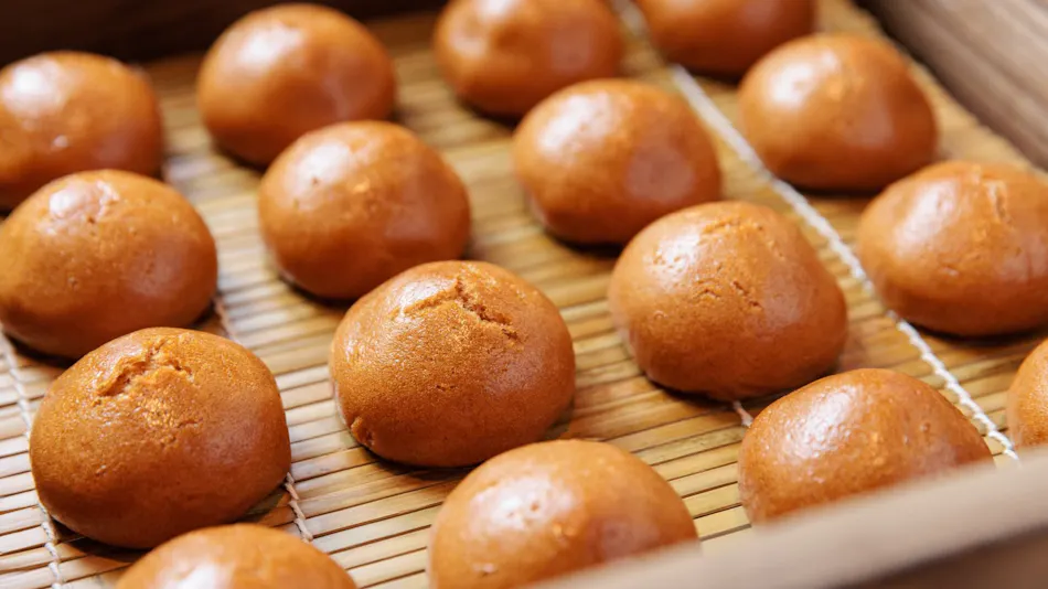 Resort for Enjoying a Sky Full of Stars: Ashibetsu Onsen Starlight Hotel & Ofuro Cafe Seiyukan