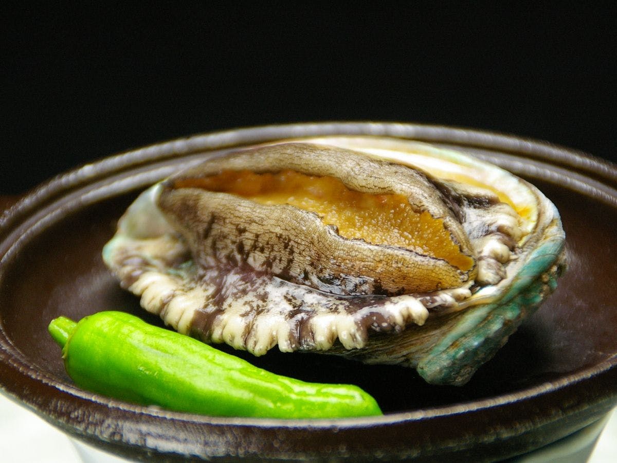 ภาพหอยเป๋าฮื้อย่างเต้น