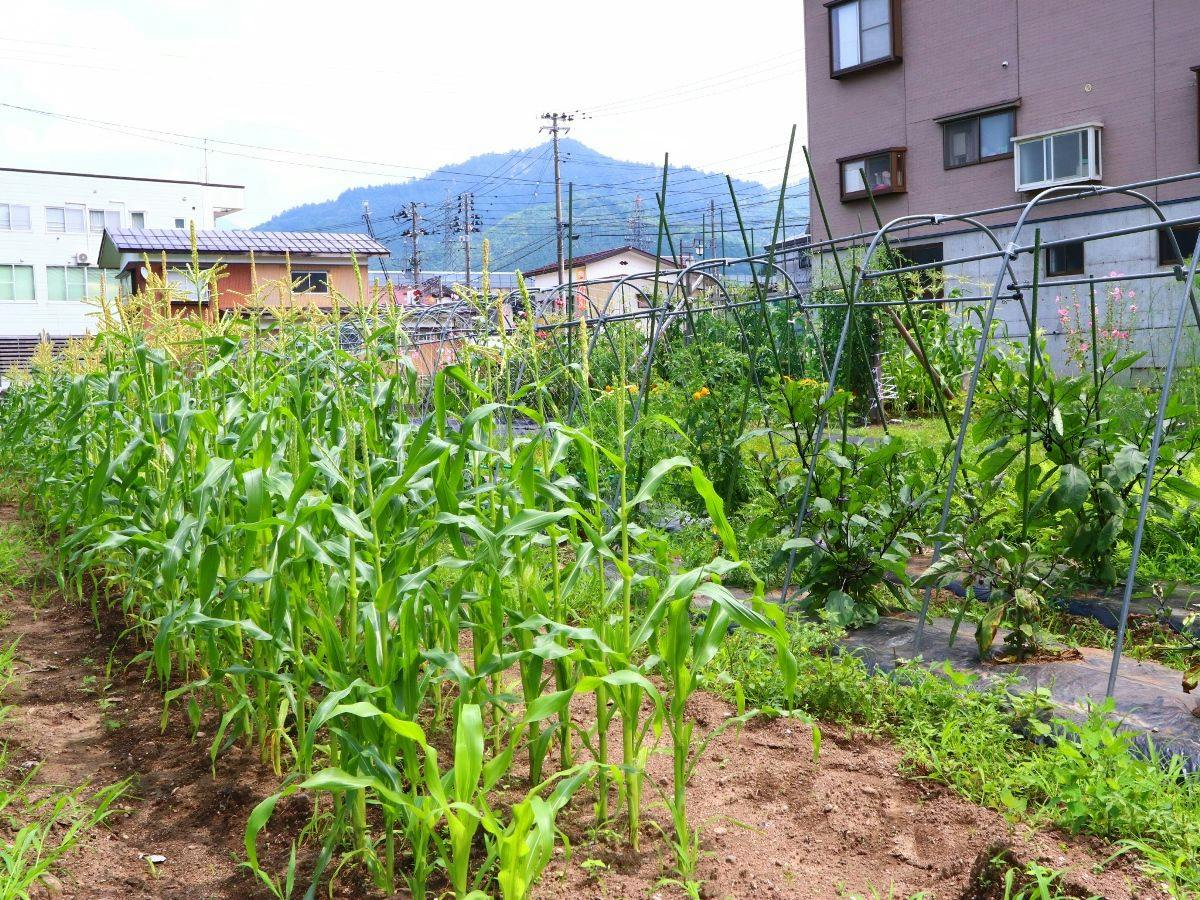 Onsen Minshuku Takano-ya