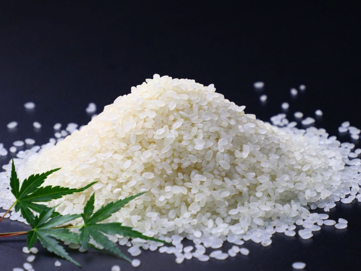 อาหารทุกมื้อใช้ข้าวใหม่พันธุ์โคชิฮิคาริจากมินามิอุโอนูมะ