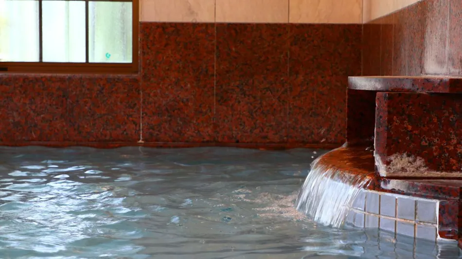 Onsen Minshuku Takano-ya
