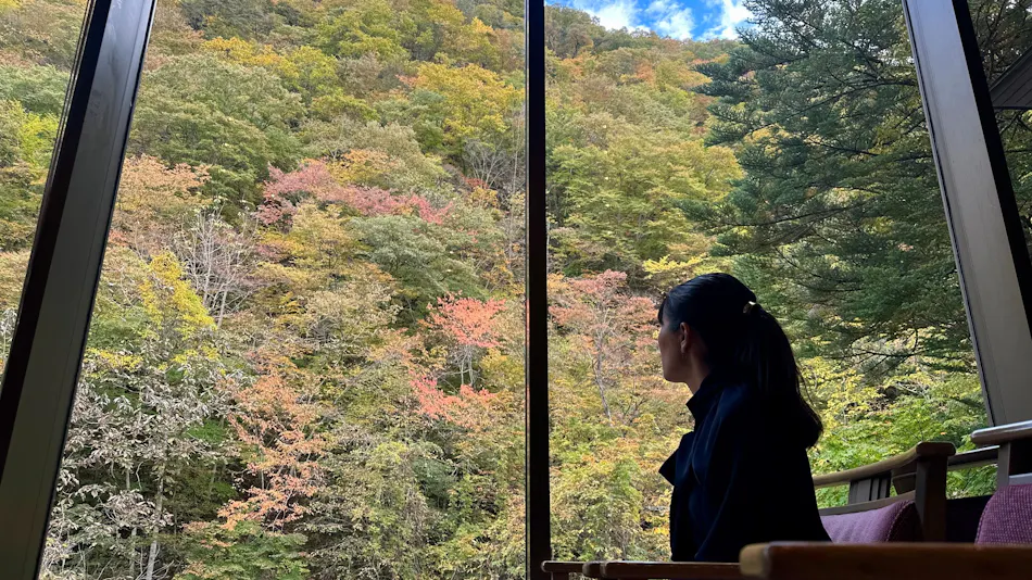 Irodori Yukashiki Hana to Hana