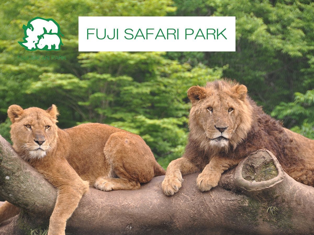 富士野生動物園的最低票價