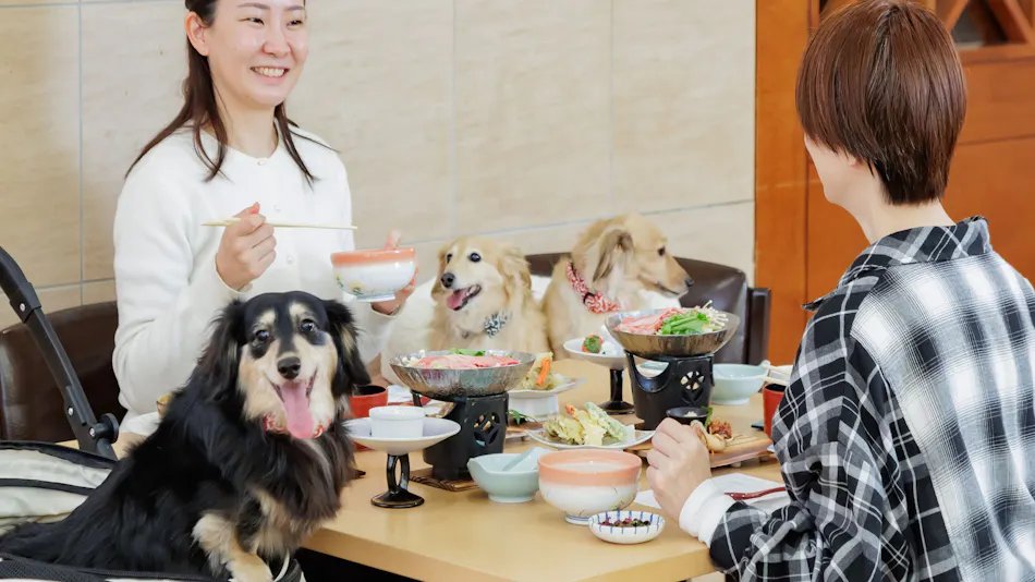 Wan Wan Paradise Nara Ikoma