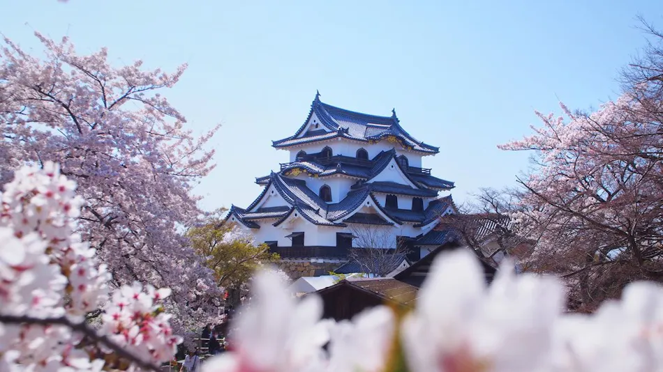 Kamenoi Hotel Hikone