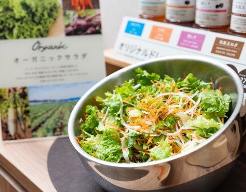 JAS認定オーガニック野菜サラダ
