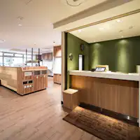 Dikelilingi oleh cahaya dan kehangatan kayu.