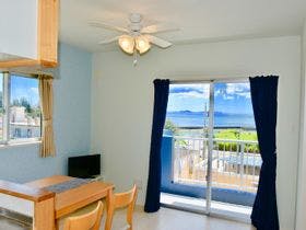 Ｓｎｏｗｂａｌｌ　Ｃｏｎｄｏｍｉｎｉｕｍ