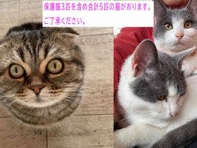 浅間高原ホテル