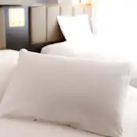 Bantal bulu untuk dipinjamkan