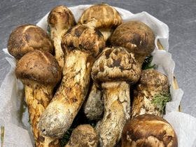 ペットと泊まれる割烹旅館　孫八