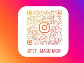 ペットと泊まれる割烹旅館　孫八