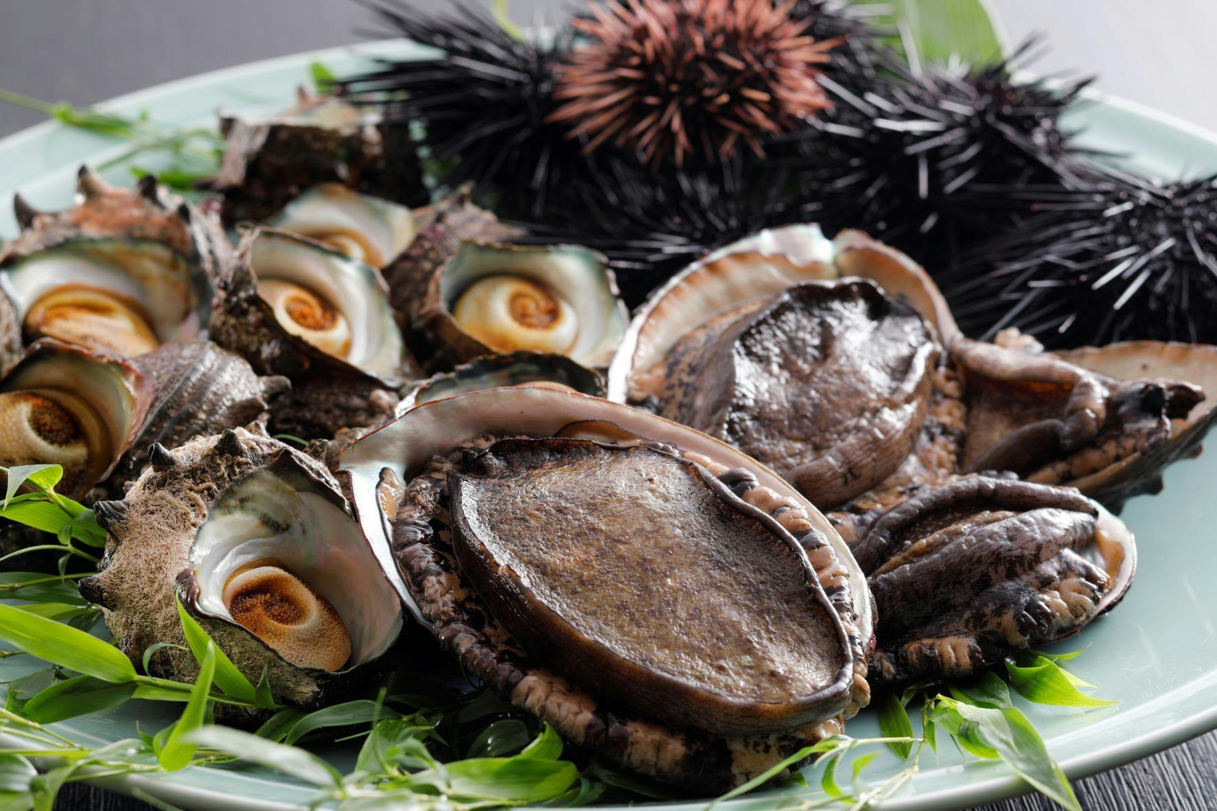 Kaigunkan: The Authentic Home of Taiza Crab - Adults Only Inn