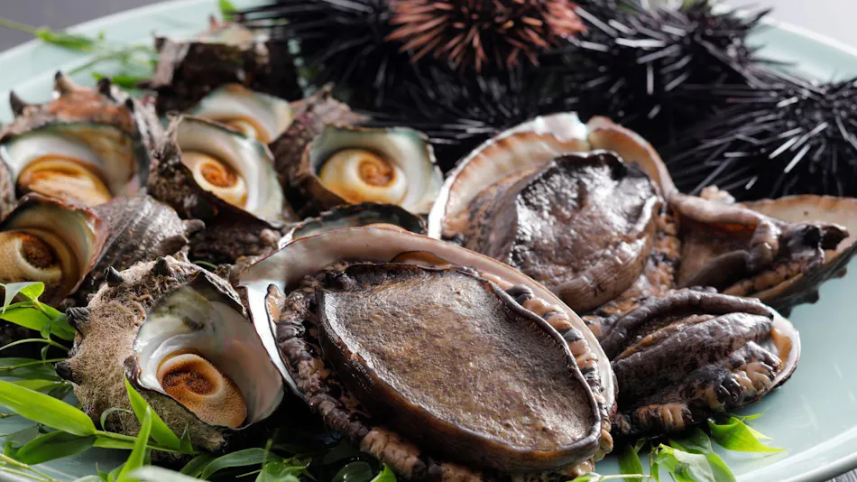 Kaigunkan: The Authentic Home of Taiza Crab - Adults Only Inn