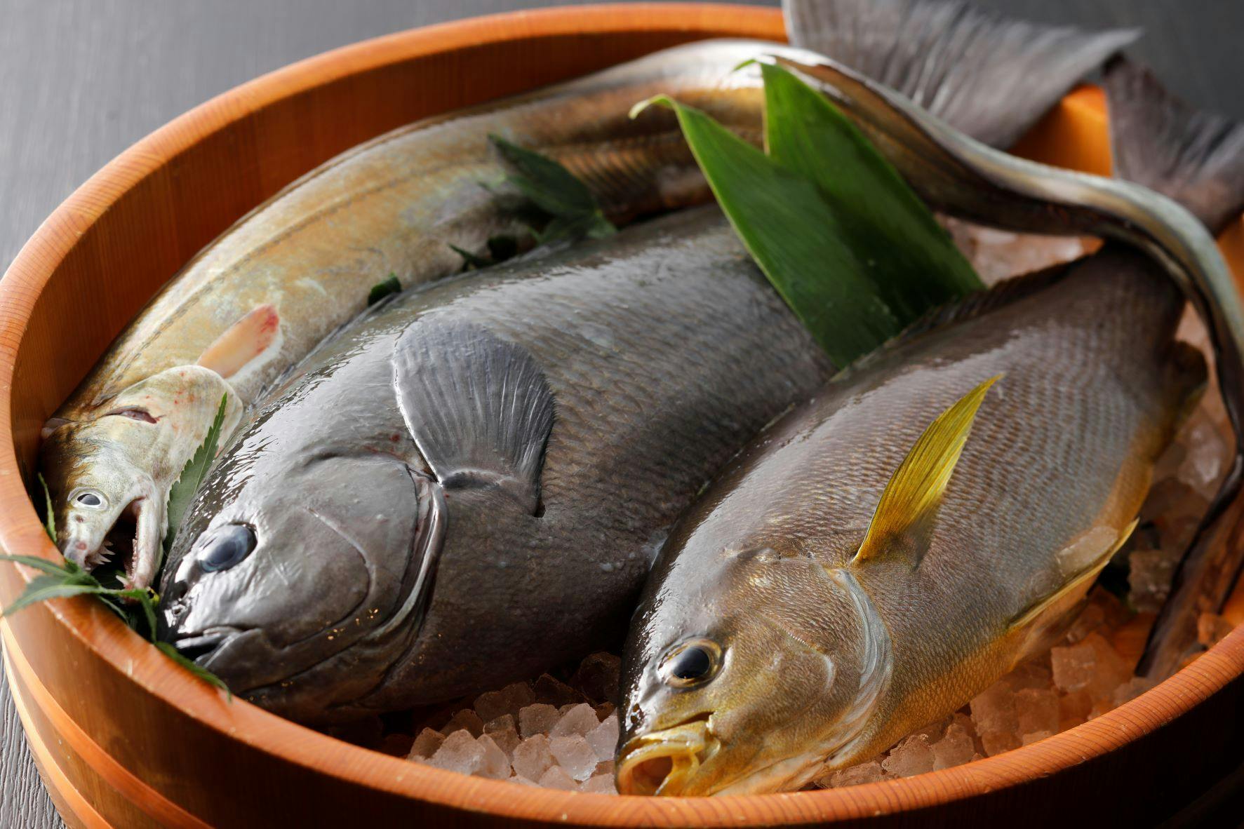 Kaigunkan: The Authentic Home of Taiza Crab - Adults Only Inn
