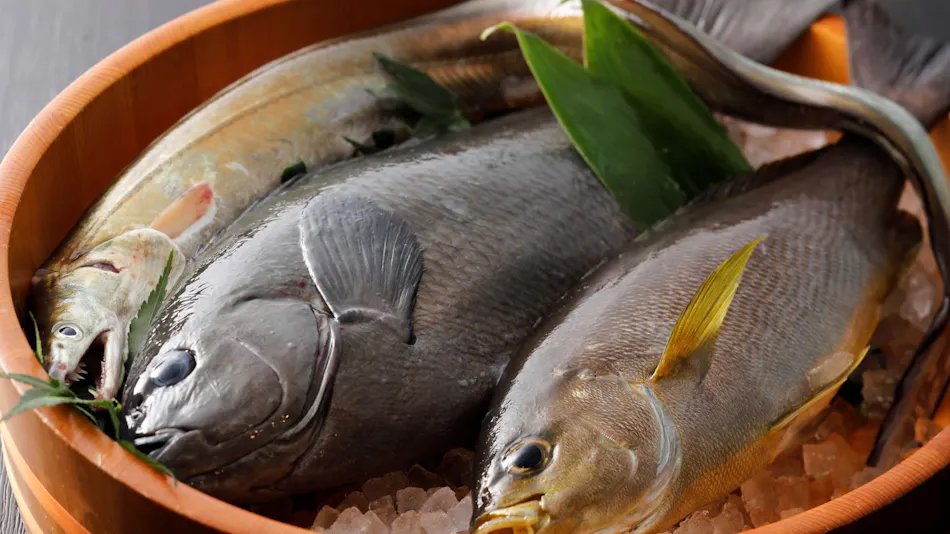 Kaigunkan: The Authentic Home of Taiza Crab - Adults Only Inn