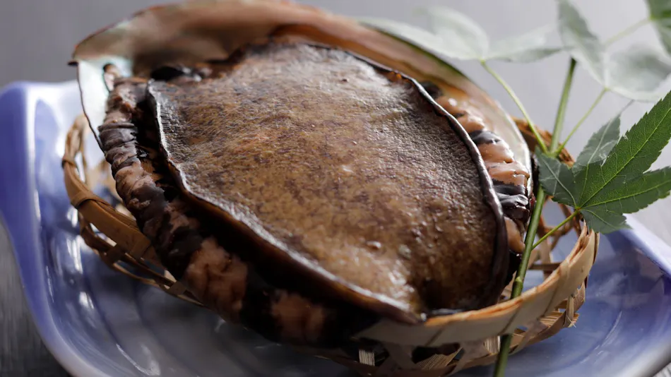Kaigunkan: The Authentic Home of Taiza Crab - Adults Only Inn