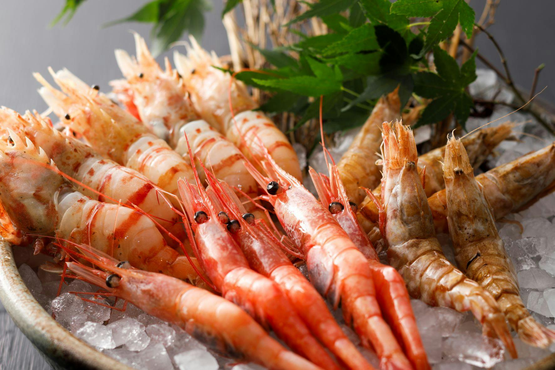 Kaigunkan: The Authentic Home of Taiza Crab - Adults Only Inn
