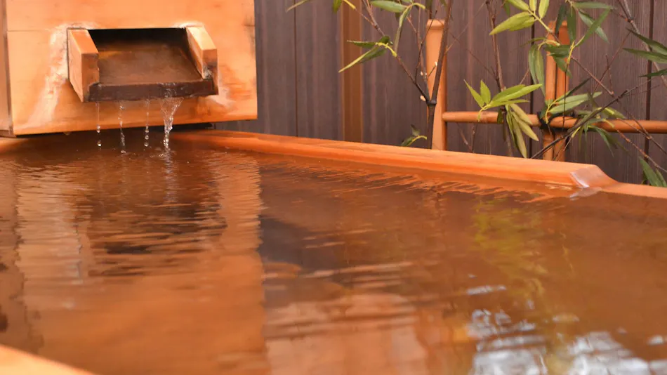 Matsudaya Ryokan: Private Dining and Reserved Bath Accommodation